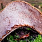 Tafel aus dem Wald – Bilder ritzen auf Baumpilzen!