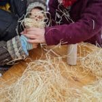 Kinder stopfen Holzwolle in Pappklorollen