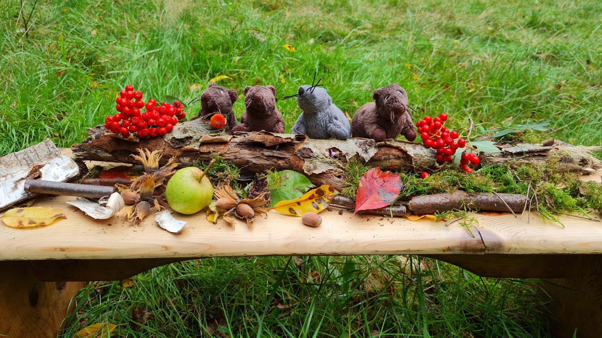  Herbst Archive • Kindergarten Ideen Illustration 