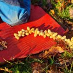 Erdnussketten – Leckere Päckchen für Meisen