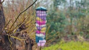 Wenn die Meisen Kinderzimmer planen